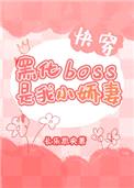 黑化BOSS是我小娇妻[快穿]封面